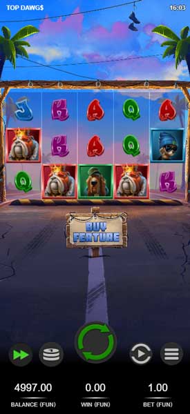 Screen-shot-top-dowg$