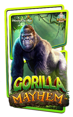 ทดลองเล่นสล็อต-Gorilla-Mayhem
