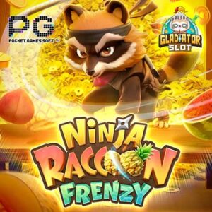 Ninja Raccoon Frenzy