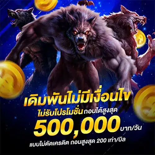 ไม่รับโปร